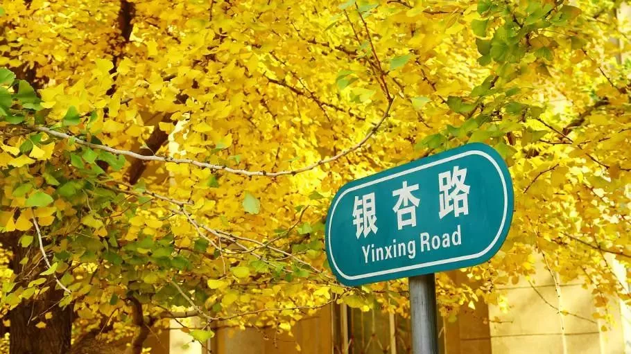 bte·365(中国)体育在线官网
