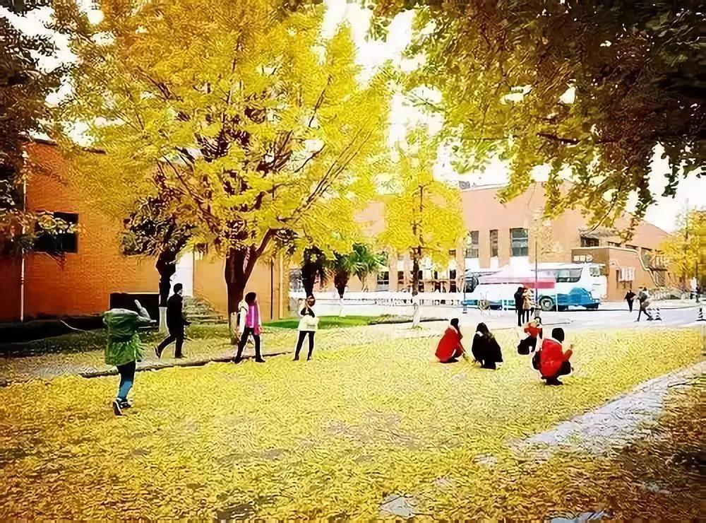 bte·365(中国)体育在线官网