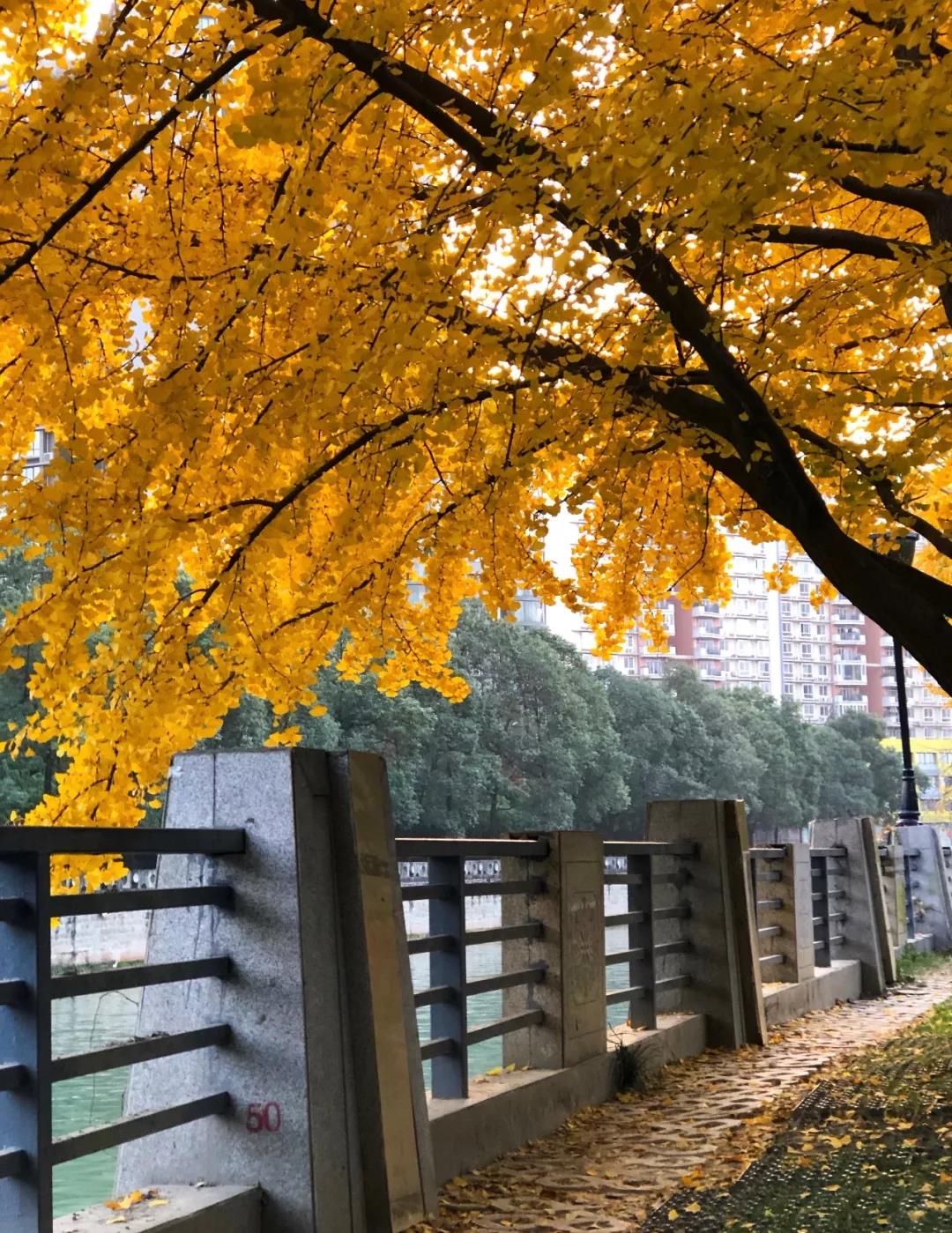 bte·365(中国)体育在线官网