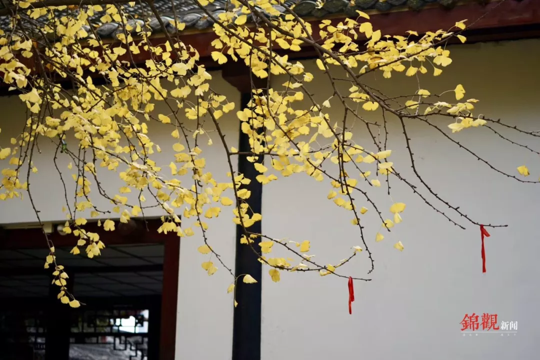 bte·365(中国)体育在线官网