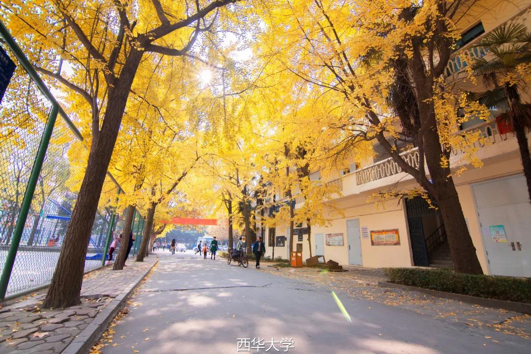 bte·365(中国)体育在线官网