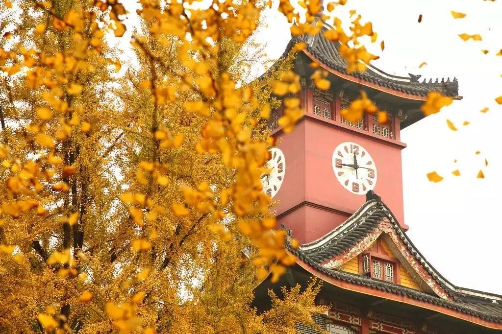 bte·365(中国)体育在线官网
