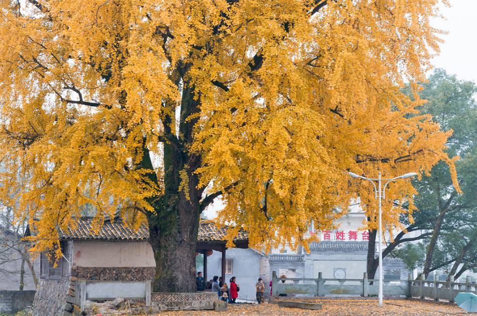 bte·365(中国)体育在线官网
