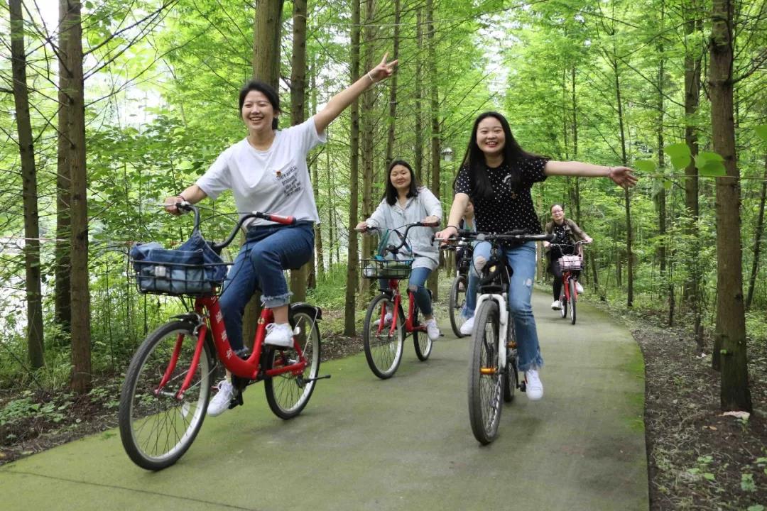 bte·365(中国)体育在线官网