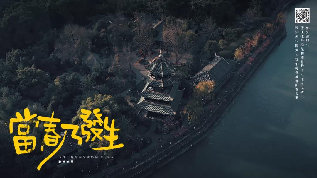 bte·365(中国)体育在线官网