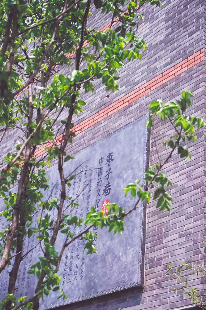 bte·365(中国)体育在线官网