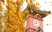集团动态 - bte365