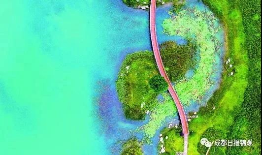 bte·365(中国)体育在线官网