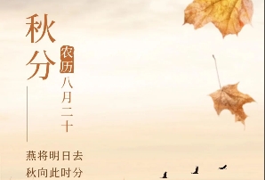 集团动态 - bte365